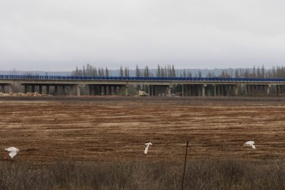 Estado de las obras de la A-11 en ejecución en la provincia de Valladolid.