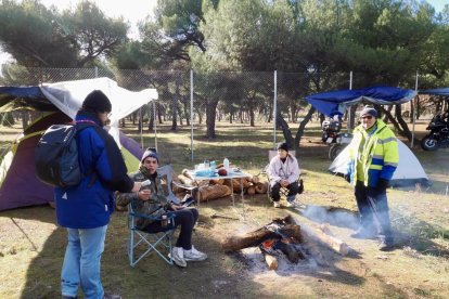 Pingüinos jornada del viernes por la mañana