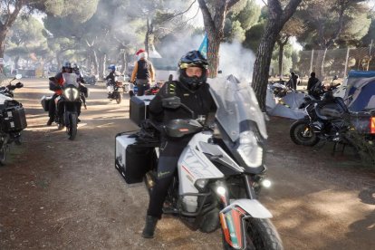 Pingüinos jornada del viernes por la mañana.