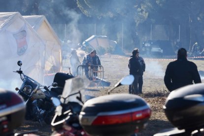 Pingüinos jornada del viernes por la mañana.
