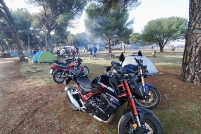 Pingüinos jornada del viernes por la mañana.