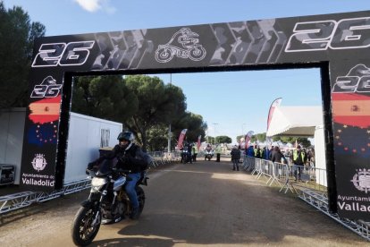 Pingüinos jornada del viernes por la mañana.