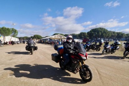 Pingüinos jornada del viernes por la mañana.