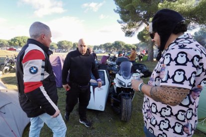 Pingüinos jornada del viernes por la mañana.