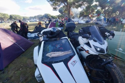 Pingüinos jornada del viernes por la mañana.