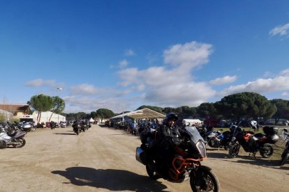 Pingüinos jornada del viernes por la mañana.