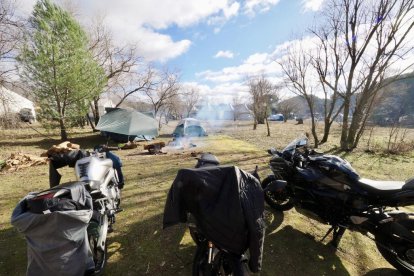 Pingüinos jornada del viernes por la mañana.