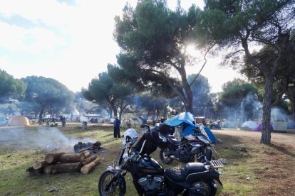 Pingüinos jornada del viernes por la mañana.