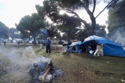 Pingüinos jornada del viernes por la mañana.