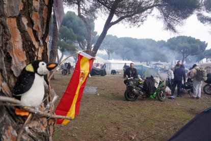 Termina la edición 2026 de Pingüinos