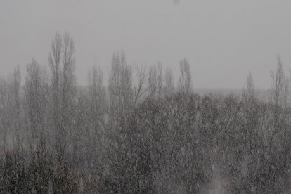 Nieva en Laguna de Duero (Valladolid)