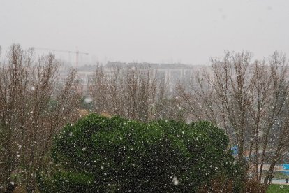 Nieva en Laguna de Duero (Valladolid)