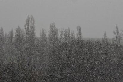 Nieva en Laguna de Duero (Valladolid)