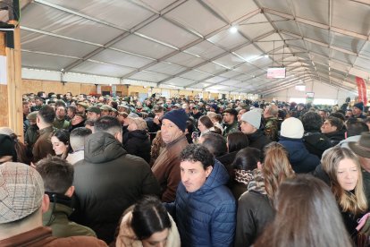 Campeonato nacional de galgos y copa del rey 2026