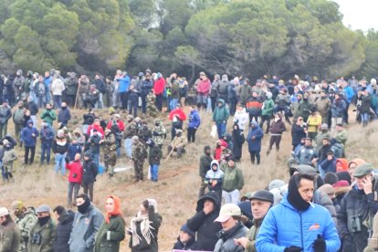 Campeonato nacional de galgos y copa del rey 2026