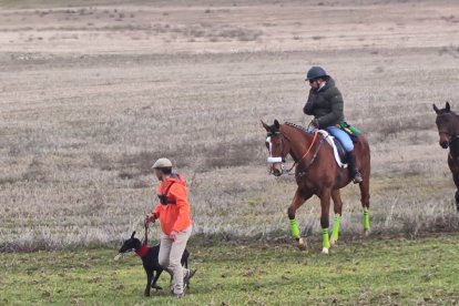 Campeonato nacional de galgos y copa del rey 2026