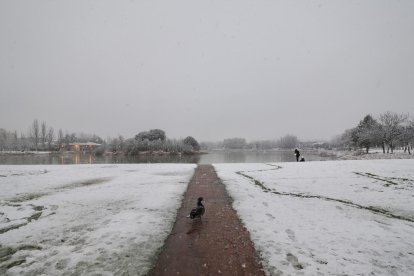 Nieve en la zona del lago en Laguna de Duero.