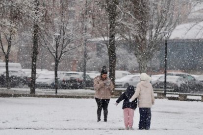 Nieve en la zona del lago en Laguna de Duero.
