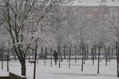 Nieve en la zona del lago en Laguna de Duero.