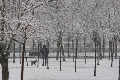 Nieve en la zona del lago en Laguna de Duero.
