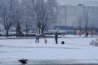 Nieve en la zona del lago en Laguna de Duero.