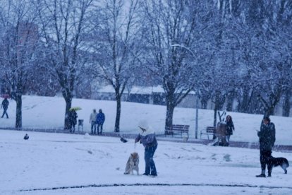 Nieve en la zona del lago en Laguna de Duero.
