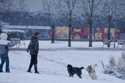 Nieve en la zona del lago en Laguna de Duero.