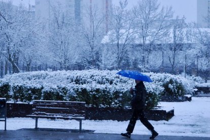 Nieve en la zona del lago en Laguna de Duero.