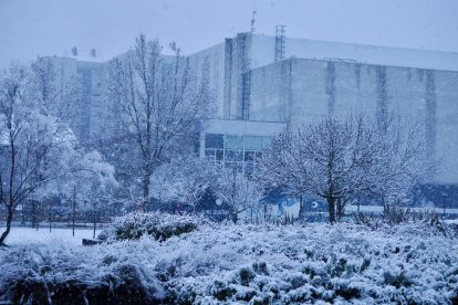 Nieve en la zona del lago en Laguna de Duero.