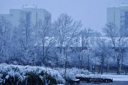 Nieve en la zona del lago en Laguna de Duero.