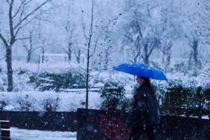 Nieve en la zona del lago en Laguna de Duero.