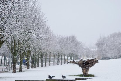 Nieve en la zona del lago en Laguna de Duero.