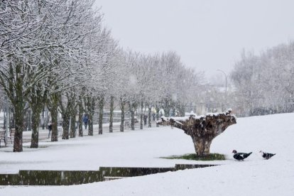 Nieve en la zona del lago en Laguna de Duero.