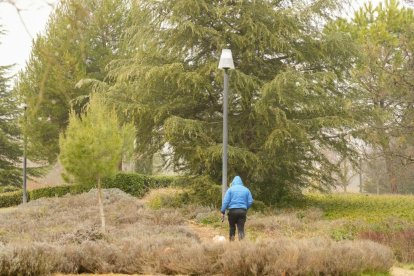 Niebla en Valladolid.