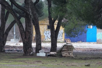 Restos de basura y suciedad tras la celebración de Pingüinos.