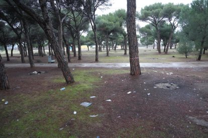 Restos de basura y suciedad tras la celebración de Pingüinos.