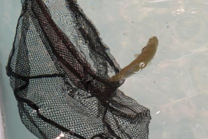 Unos niños aprenden a pescar en la Cúpula del Milenio.