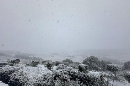 Imagenes de la nevada en la localidad vallisoletana de urueña.