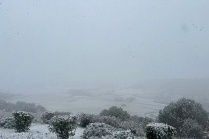 Imagenes de la nevada en la provincia de Valladolid
