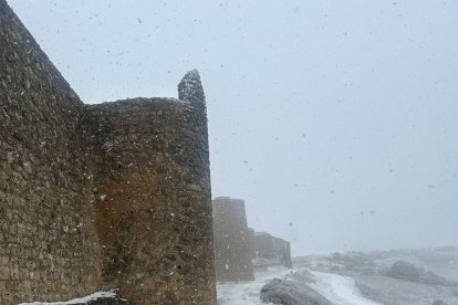 Imagenes de la nevada en la provincia de Valladolid