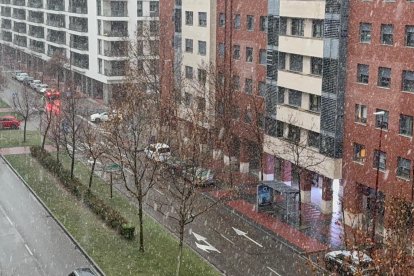 La nieve cae y cubre ya Valladolid.
