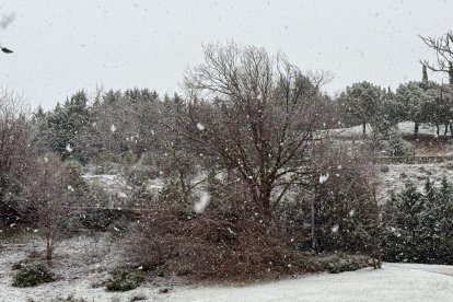 La nieve cae y cubre ya Valladolid.