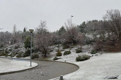 La nieve cae y cubre ya Valladolid.