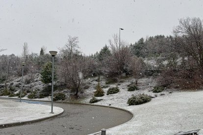 La nieve cae y cubre ya Valladolid.