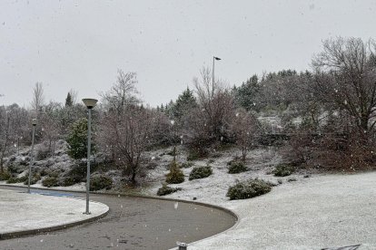 La nieve cae y cubre ya Valladolid.