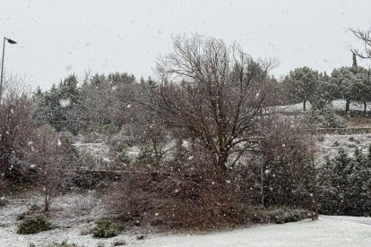 La nieve cae y cubre ya Valladolid.