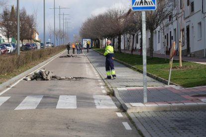 Corte de tráfico en la avenida de Las Contiendas por las obras de pavimentación