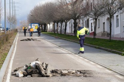 Corte de tráfico en la avenida de Las Contiendas por las obras de pavimentación