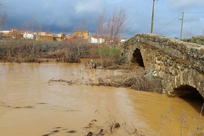 El río Valderaduey a su paso por Becilla de Valderaduey ayer
