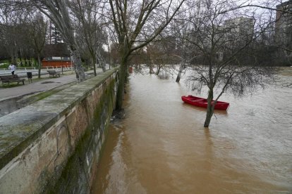 Crecida del río Pisuerga a su paso por Valladolid